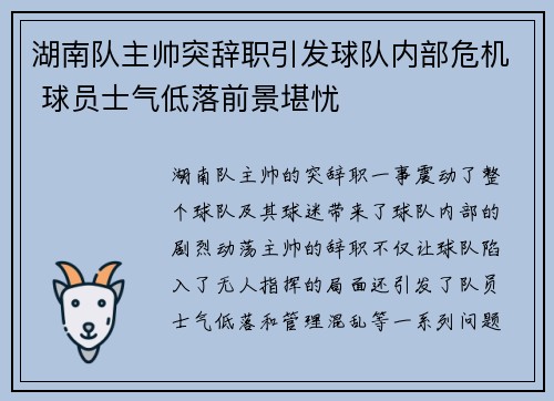 湖南队主帅突辞职引发球队内部危机 球员士气低落前景堪忧